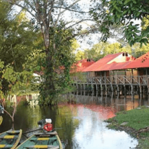 Amazon Journes Lodge Selva Mágica 03 Días 02 Noches