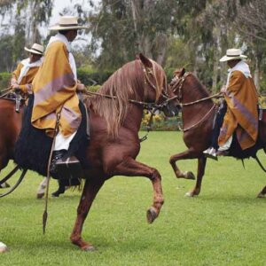 Pachacamac – Dpaso Mamacona