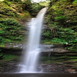 Descubre la Selva Encantada 05 Días – 04 Noches Vía Sky