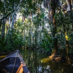 Reserva Pacaya Samiria 04 Días – 03 Noches