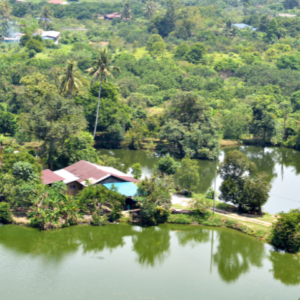 Visita al Padre del Amazonas