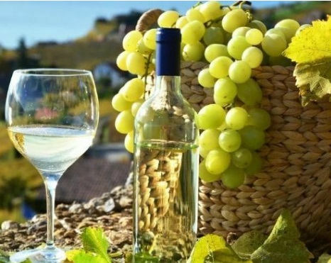 cata de pisco