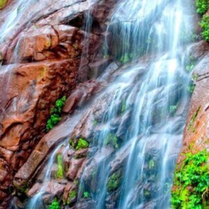 Regalia, Del Bosque Sus Caidas del Agua