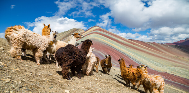 montaña 7 colores con llamas300
