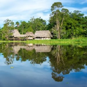 Curaka Nativo en Selva 04 Días – 03 Noches Vía Sky ( Ciudad-Selva)