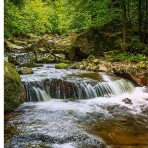 Aventuras en la Selva 04 Días – 03 Noches Vía Sky