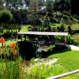 Cajamarca Milenaria 04 Días – 03 Noches Via Sky